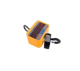 Весы крановые электронные